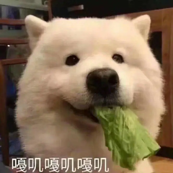 表情包1