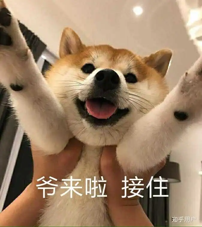 表情包2