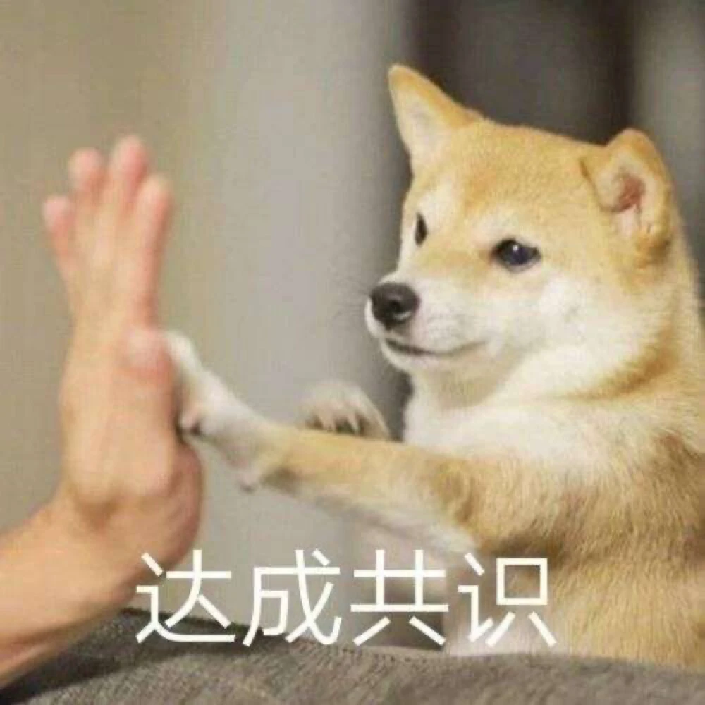 表情包3